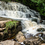 Kisdon Force